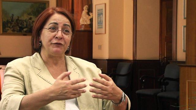 Embedded thumbnail for The internal organisation of the Council...